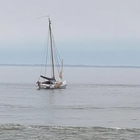 Moewennest * شيلينغ