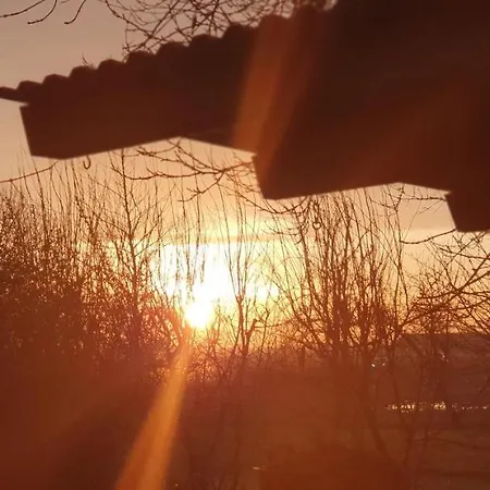 Moewennest 西里格