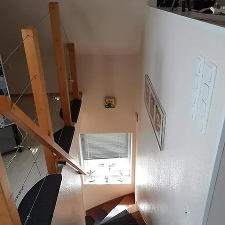 Moewennest 西里格