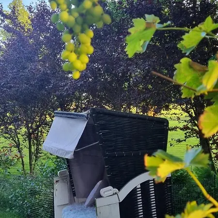 Moewennest 西里格