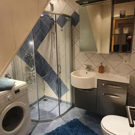 公寓 Moewennest 西里格