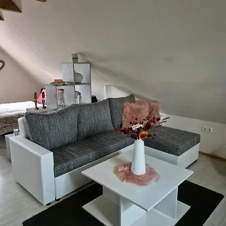 公寓 Moewennest 西里格