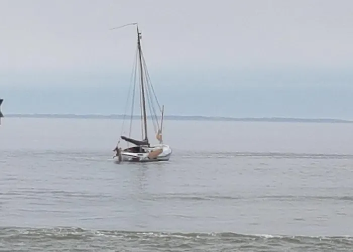 Moewennest * شيلينغ