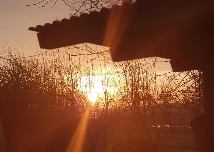 Moewennest شيلينغ