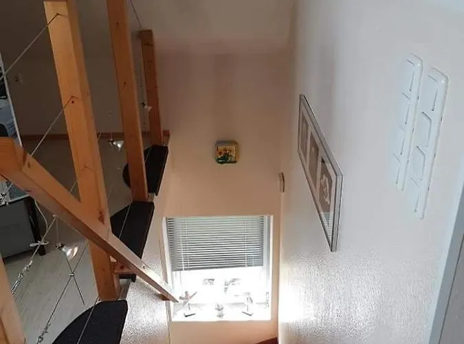 Moewennest شيلينغ