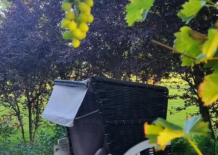 Moewennest شيلينغ